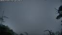 ./images/calvert/fitz-hugh-hecate/20250617/fitz-hugh-hecate20250617_215509M.jpg