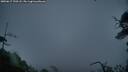 ./images/calvert/fitz-hugh-hecate/20250617/fitz-hugh-hecate20250617_220508M.jpg