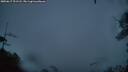 ./images/calvert/fitz-hugh-hecate/20250617/fitz-hugh-hecate20250617_221508M.jpg