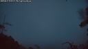 ./images/calvert/fitz-hugh-hecate/20250617/fitz-hugh-hecate20250617_223508M.jpg