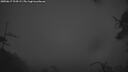 ./images/calvert/fitz-hugh-hecate/20250617/fitz-hugh-hecate20250617_224509M.jpg