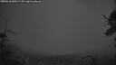 ./images/calvert/fitz-hugh-hecate/20250618/fitz-hugh-hecate20250618_043009M.jpg