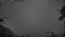 ./images/calvert/fitz-hugh-hecate/20250618/fitz-hugh-hecate20250618_044009M.jpg