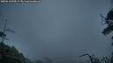 ./images/calvert/fitz-hugh-hecate/20250618/fitz-hugh-hecate20250618_045509M.jpg
