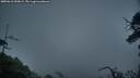 ./images/calvert/fitz-hugh-hecate/20250618/fitz-hugh-hecate20250618_050009M.jpg