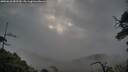 ./images/calvert/fitz-hugh-hecate/20250618/fitz-hugh-hecate20250618_051510M.jpg