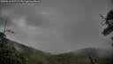 ./images/calvert/fitz-hugh-hecate/20250618/fitz-hugh-hecate20250618_052506M.jpg