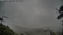 ./images/calvert/fitz-hugh-hecate/20250618/fitz-hugh-hecate20250618_053008M.jpg