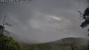 ./images/calvert/fitz-hugh-hecate/20250618/fitz-hugh-hecate20250618_055008M.jpg