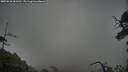 ./images/calvert/fitz-hugh-hecate/20250618/fitz-hugh-hecate20250618_061510M.jpg