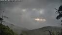 ./images/calvert/fitz-hugh-hecate/20250618/fitz-hugh-hecate20250618_062510M.jpg