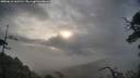 ./images/calvert/fitz-hugh-hecate/20250618/fitz-hugh-hecate20250618_065510M.jpg