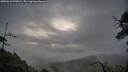 ./images/calvert/fitz-hugh-hecate/20250618/fitz-hugh-hecate20250618_070007M.jpg