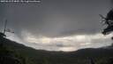 ./images/calvert/fitz-hugh-hecate/20250618/fitz-hugh-hecate20250618_074010M.jpg