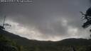 ./images/calvert/fitz-hugh-hecate/20250618/fitz-hugh-hecate20250618_074509M.jpg