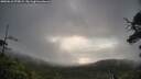 ./images/calvert/fitz-hugh-hecate/20250618/fitz-hugh-hecate20250618_075009M.jpg