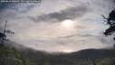 ./images/calvert/fitz-hugh-hecate/20250618/fitz-hugh-hecate20250618_080012M.jpg