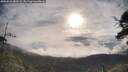 ./images/calvert/fitz-hugh-hecate/20250618/fitz-hugh-hecate20250618_080509M.jpg