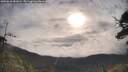 ./images/calvert/fitz-hugh-hecate/20250618/fitz-hugh-hecate20250618_081008M.jpg