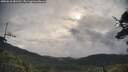 ./images/calvert/fitz-hugh-hecate/20250618/fitz-hugh-hecate20250618_081511M.jpg