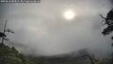 ./images/calvert/fitz-hugh-hecate/20250618/fitz-hugh-hecate20250618_082009M.jpg