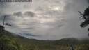 ./images/calvert/fitz-hugh-hecate/20250618/fitz-hugh-hecate20250618_083510M.jpg