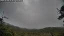 ./images/calvert/fitz-hugh-hecate/20250618/fitz-hugh-hecate20250618_091009M.jpg
