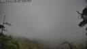 ./images/calvert/fitz-hugh-hecate/20250618/fitz-hugh-hecate20250618_091510M.jpg