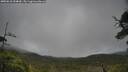 ./images/calvert/fitz-hugh-hecate/20250618/fitz-hugh-hecate20250618_094010M.jpg