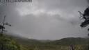 ./images/calvert/fitz-hugh-hecate/20250618/fitz-hugh-hecate20250618_100012M.jpg