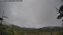 ./images/calvert/fitz-hugh-hecate/20250618/fitz-hugh-hecate20250618_100510M.jpg