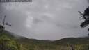 ./images/calvert/fitz-hugh-hecate/20250618/fitz-hugh-hecate20250618_101010M.jpg