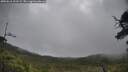 ./images/calvert/fitz-hugh-hecate/20250618/fitz-hugh-hecate20250618_101508M.jpg