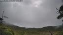 ./images/calvert/fitz-hugh-hecate/20250618/fitz-hugh-hecate20250618_102010M.jpg