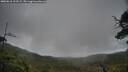 ./images/calvert/fitz-hugh-hecate/20250618/fitz-hugh-hecate20250618_102509M.jpg