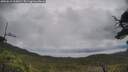 ./images/calvert/fitz-hugh-hecate/20250618/fitz-hugh-hecate20250618_103010M.jpg
