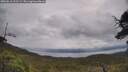 ./images/calvert/fitz-hugh-hecate/20250618/fitz-hugh-hecate20250618_103509M.jpg