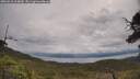 ./images/calvert/fitz-hugh-hecate/20250618/fitz-hugh-hecate20250618_104009M.jpg