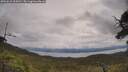 ./images/calvert/fitz-hugh-hecate/20250618/fitz-hugh-hecate20250618_104510M.jpg
