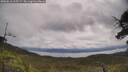 ./images/calvert/fitz-hugh-hecate/20250618/fitz-hugh-hecate20250618_105509M.jpg