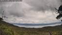 ./images/calvert/fitz-hugh-hecate/20250618/fitz-hugh-hecate20250618_110009M.jpg
