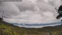 ./images/calvert/fitz-hugh-hecate/20250618/fitz-hugh-hecate20250618_110509M.jpg