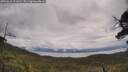 ./images/calvert/fitz-hugh-hecate/20250618/fitz-hugh-hecate20250618_111010M.jpg