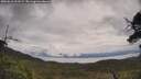 ./images/calvert/fitz-hugh-hecate/20250618/fitz-hugh-hecate20250618_111509M.jpg
