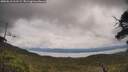 ./images/calvert/fitz-hugh-hecate/20250618/fitz-hugh-hecate20250618_112508M.jpg
