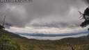 ./images/calvert/fitz-hugh-hecate/20250618/fitz-hugh-hecate20250618_114510M.jpg