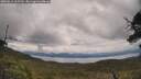 ./images/calvert/fitz-hugh-hecate/20250618/fitz-hugh-hecate20250618_115509M.jpg