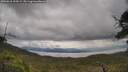./images/calvert/fitz-hugh-hecate/20250618/fitz-hugh-hecate20250618_123508M.jpg