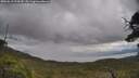 ./images/calvert/fitz-hugh-hecate/20250618/fitz-hugh-hecate20250618_124510M.jpg