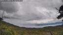 ./images/calvert/fitz-hugh-hecate/20250618/fitz-hugh-hecate20250618_125010M.jpg